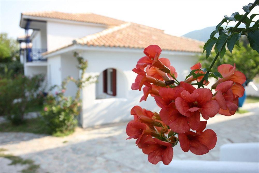 Alkistis Hotel Skopelos Town Exterior photo
